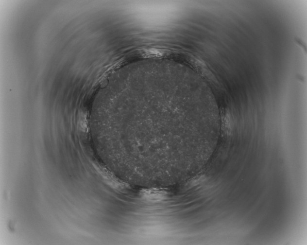 X0000102460331200808291547