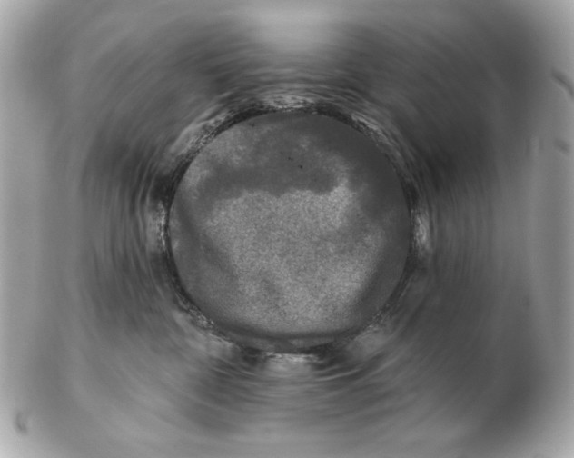 X0000102460332200808291547