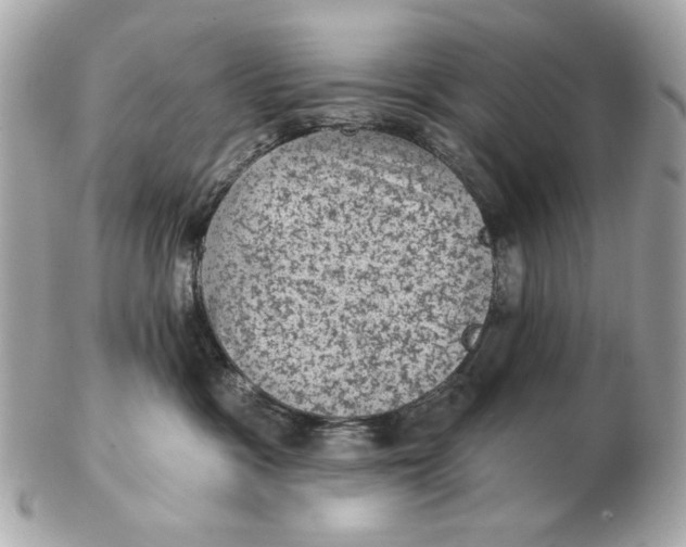 X0000102460333200808291547