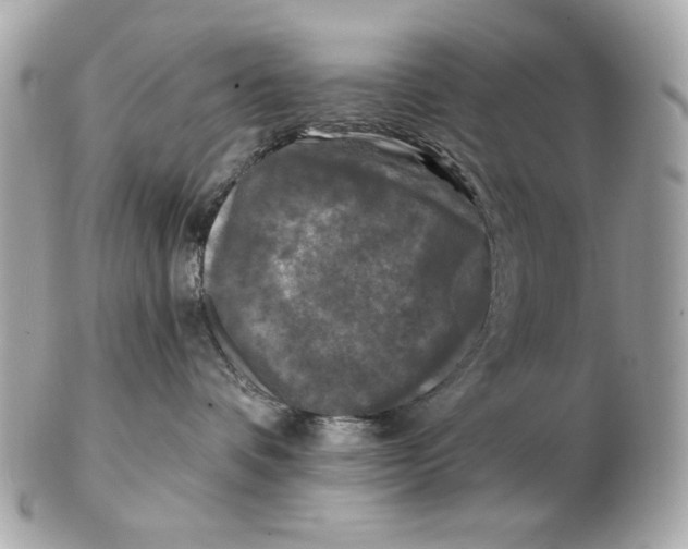 X0000102460336200808291547
