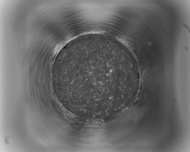 X0000102460337200808291547