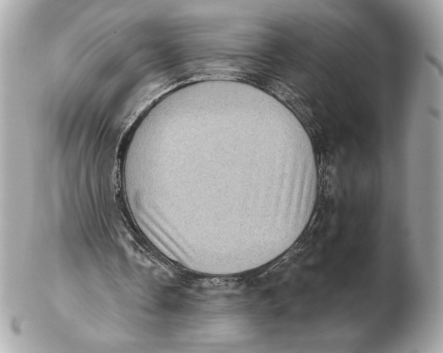 X0000102460338200808291547