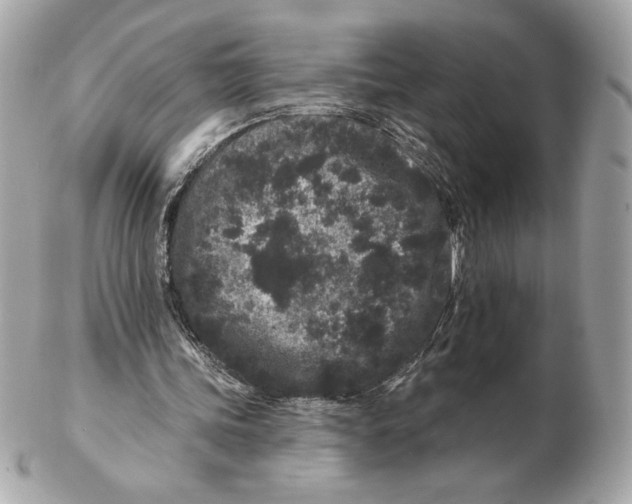X0000102460339200808291547