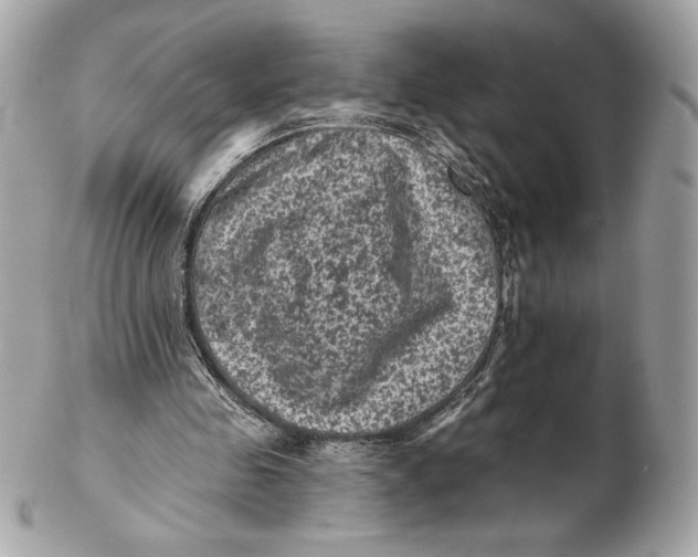 X0000102460341200808291547
