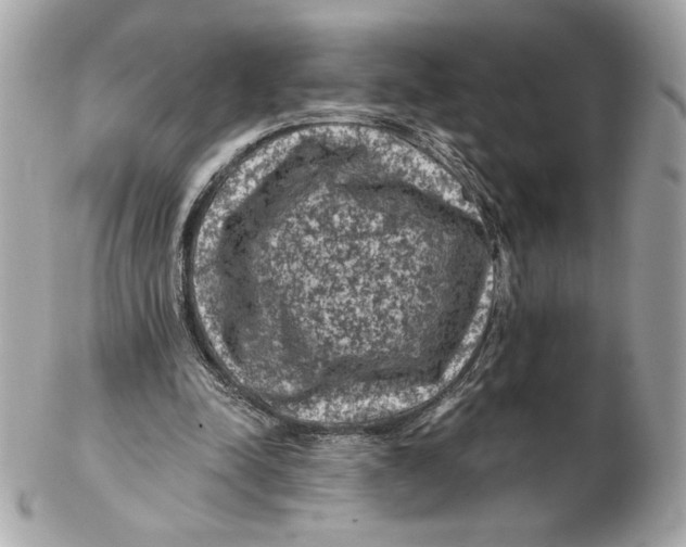 X0000102460342200808291547