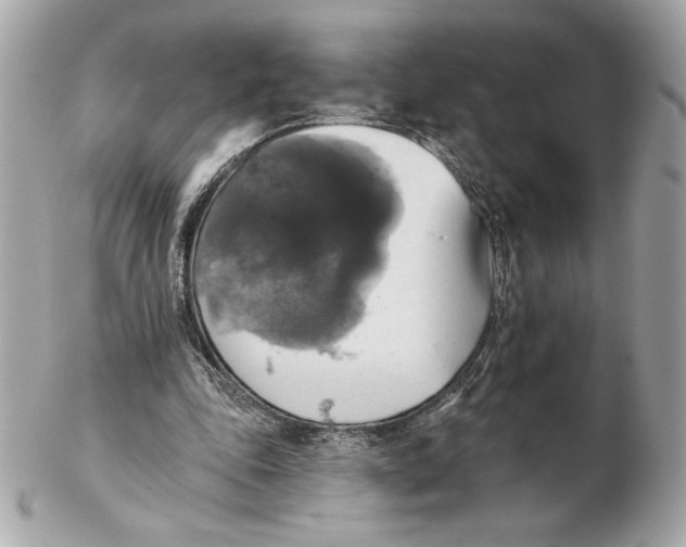 X0000102460343200808291547