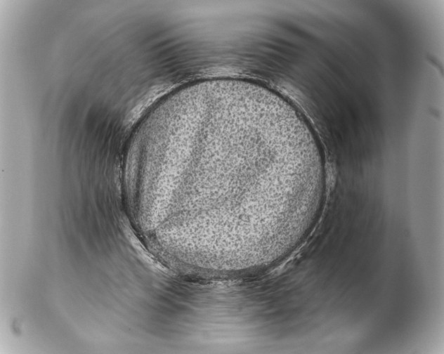 X0000102460345200808291547