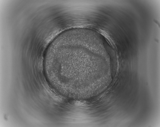 X0000102460346200808291547