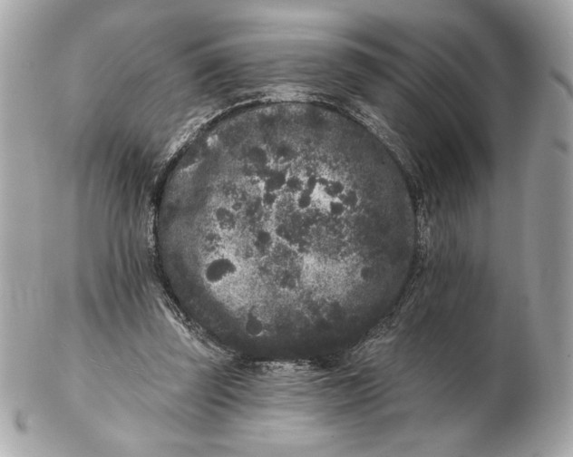 X0000102460347200808291547