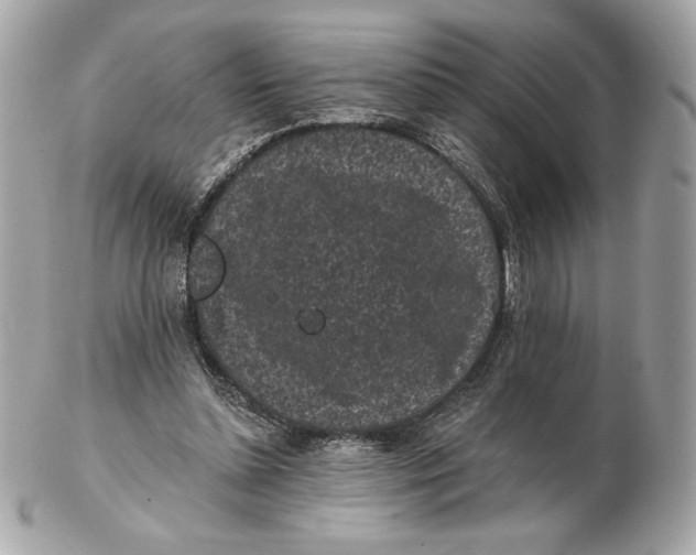 X0000102460348200808291547