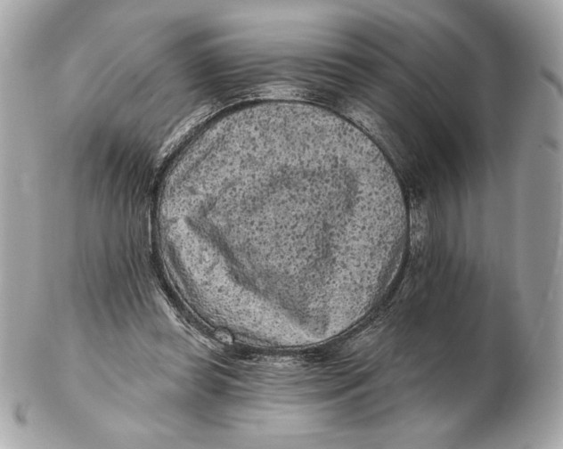 X0000102460349200808291547