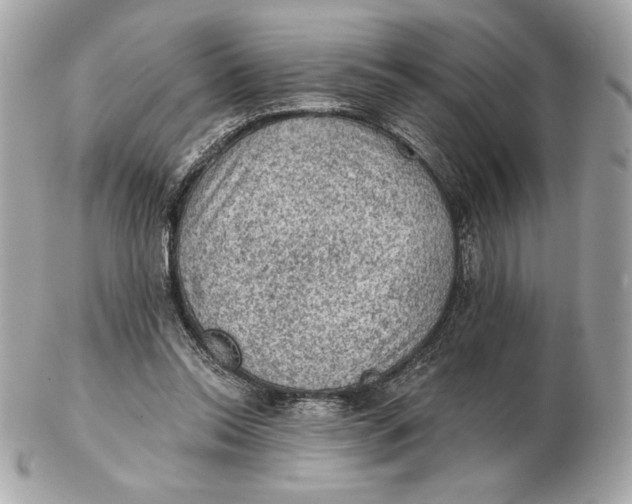 X0000102460350200808291547