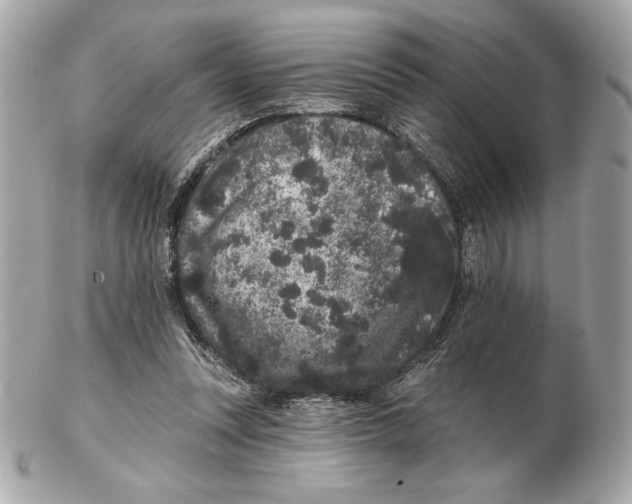 X0000102460351200808291547