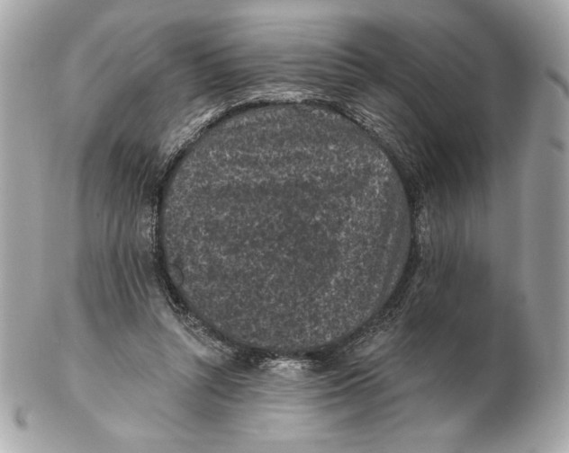 X0000102460352200808291547