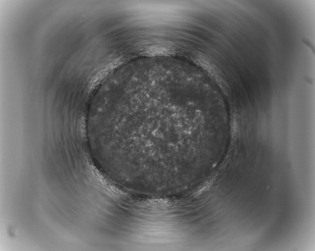 X0000102460353200808291547