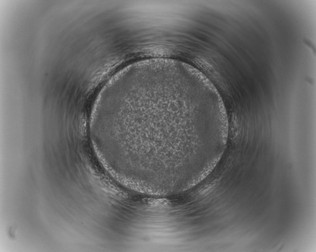 X0000102460355200808291547