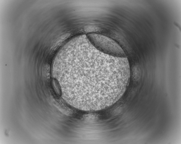 X0000102460356200808291547