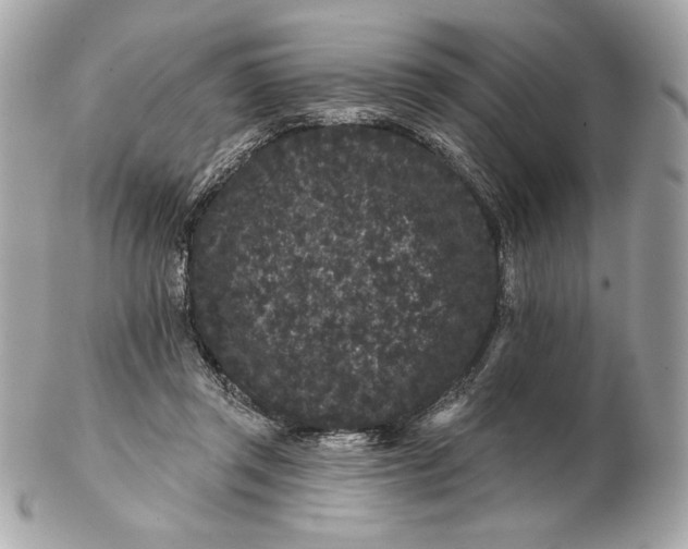 X0000102460357200808291547