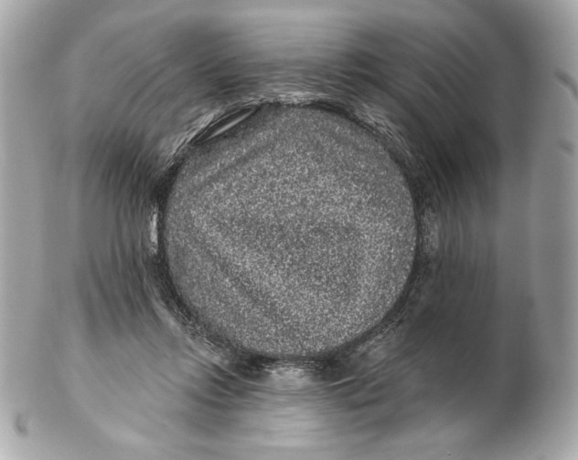 X0000102460358200808291547