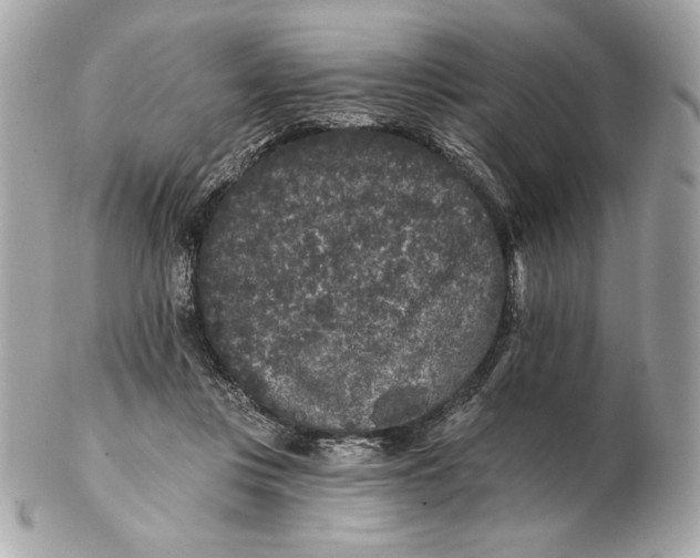 X0000102460359200808291547