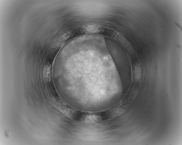 X0000102460360200808291547