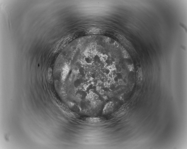X0000102460361200808291547