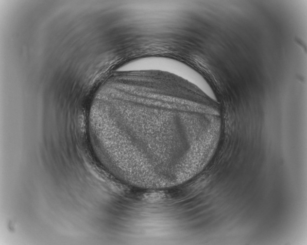 X0000102460362200808291547