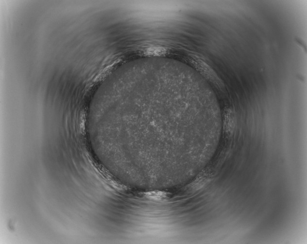 X0000102460363200808291547