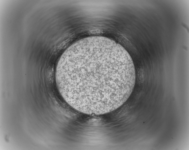 X0000102460364200808291547