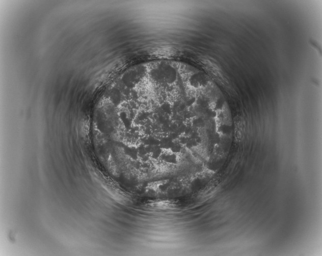 X0000102460365200808291547