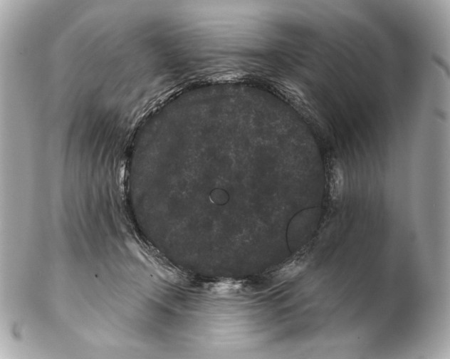 X0000102460366200808291547