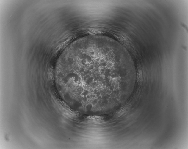 X0000102460367200808291547