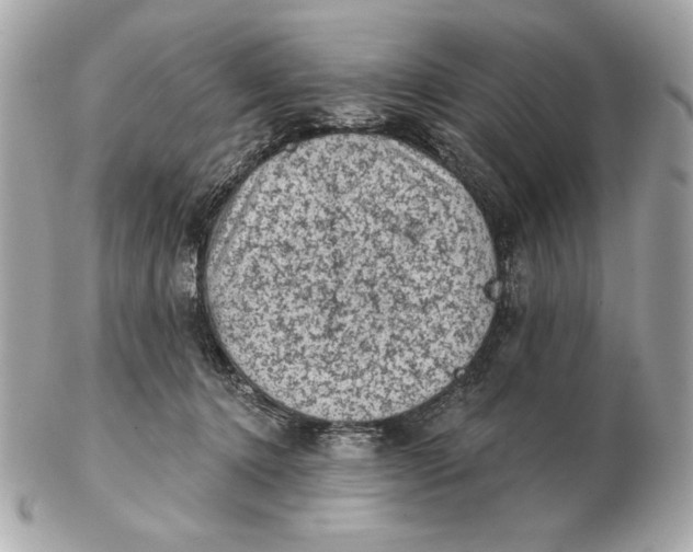 X0000102460368200808291547
