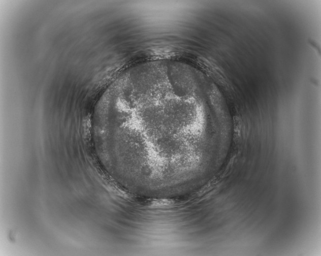 X0000102460369200808291547