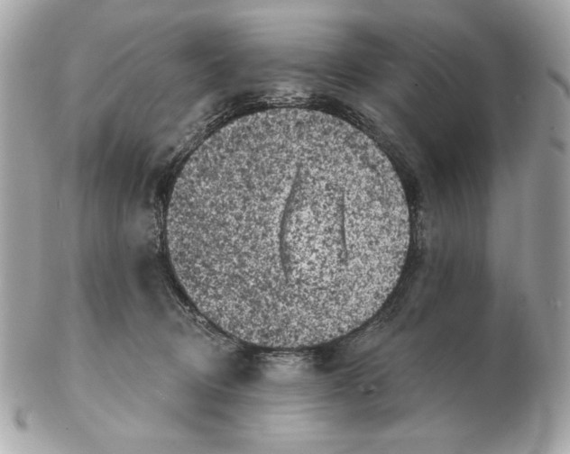 X0000102460370200808291547