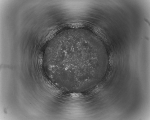 X0000102460371200808291547
