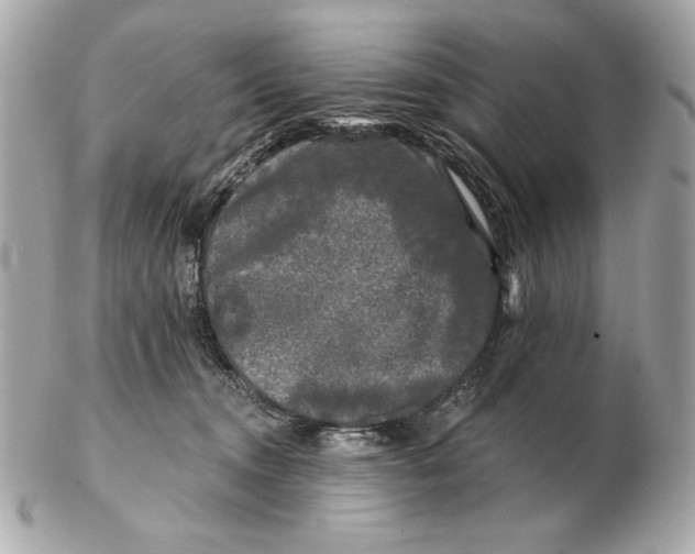 X0000102460372200808291547