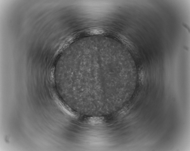X0000102460373200808291547