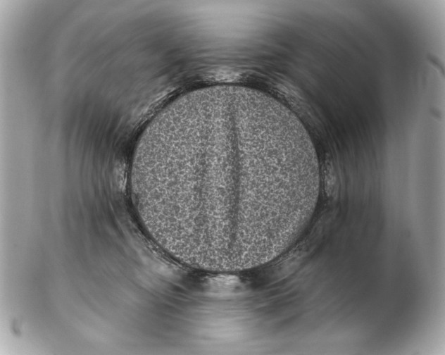X0000102460374200808291547