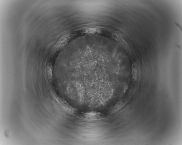 X0000102460375200808291547
