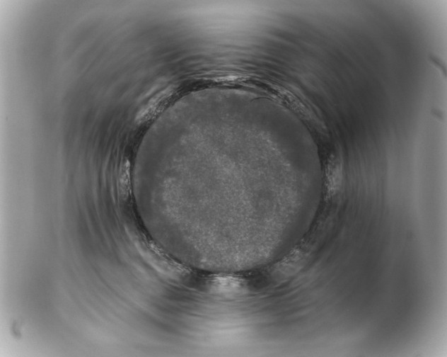 X0000102460376200808291547
