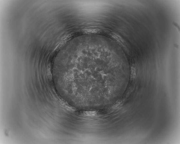 X0000102460377200808291547