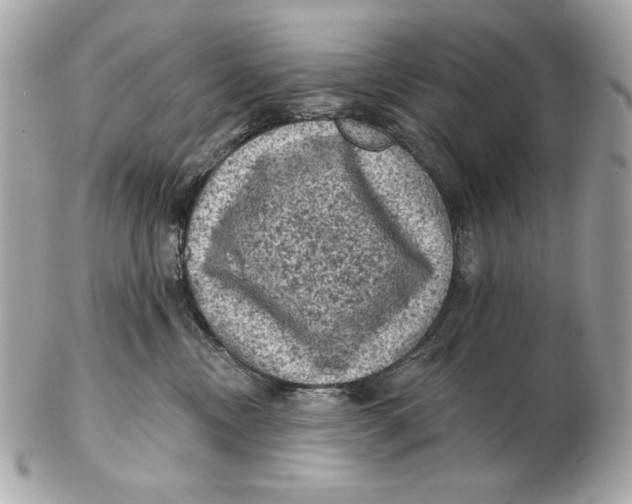 X0000102460378200808291547