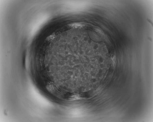 X0000102460381200808291547