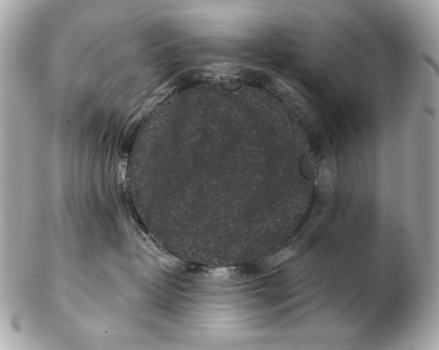 X0000102460382200808291547