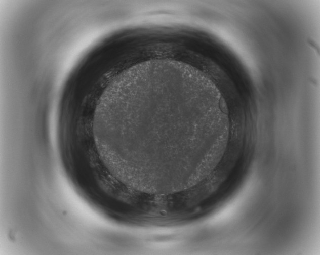 X0000102460383200808291547