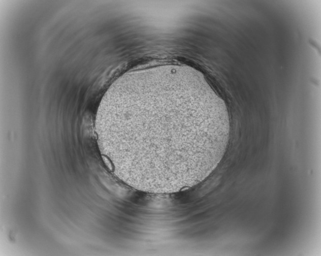 X0000102460384200808291547