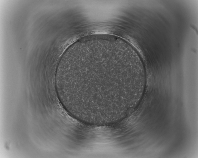 X0000102460385200808291547