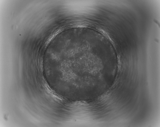 X0000102460386200808291547