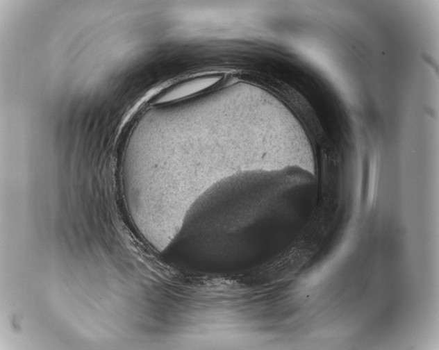 X0000102460387200808291547